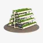 Hydroponic system